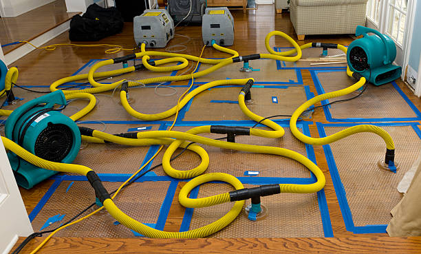 Professional Basement Flood Cleanup technician working in Thousand Oaks, CA